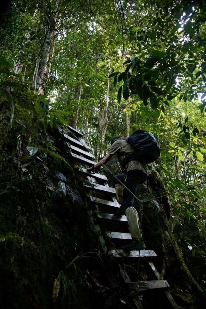 Maliau Basin waterfall and jungle landscape
