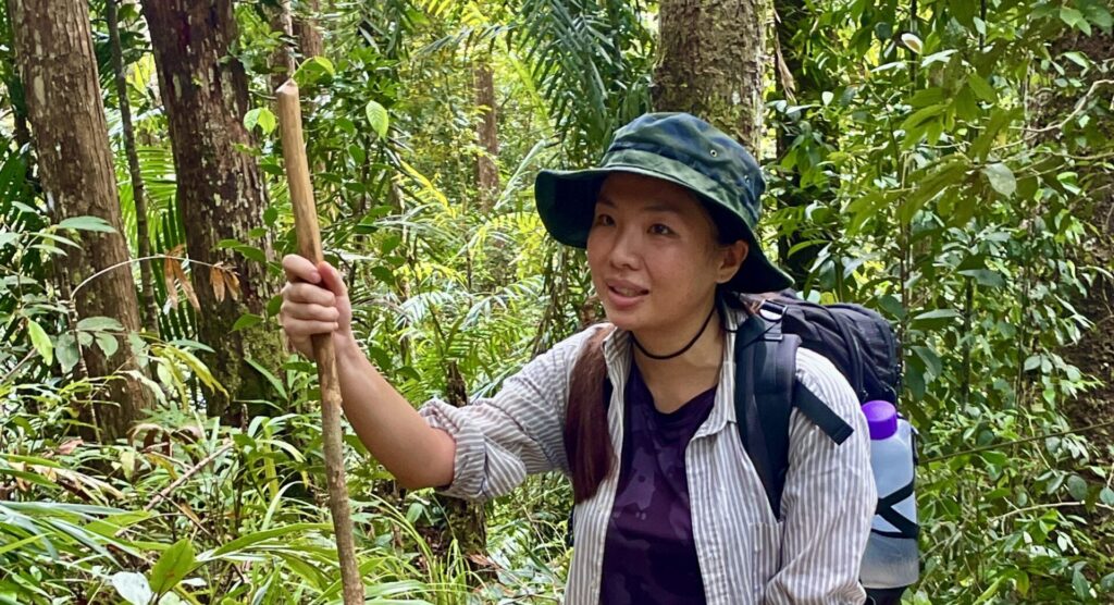 Rainforest trail adventure in Maliau Basin