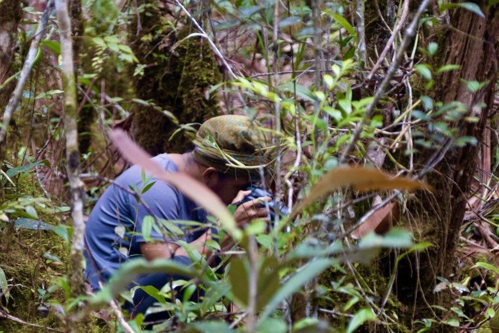 Rainforest trekking experience in Maliau Basin