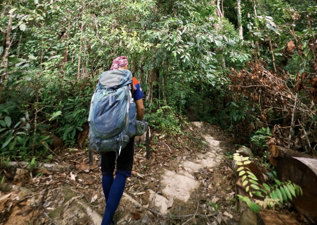 Maliau Basin guided rainforest expedition