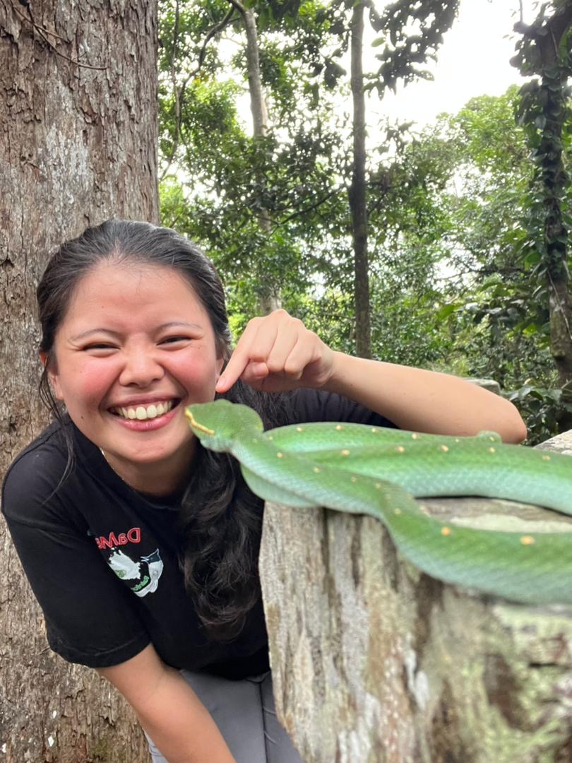 Researcher's feedback