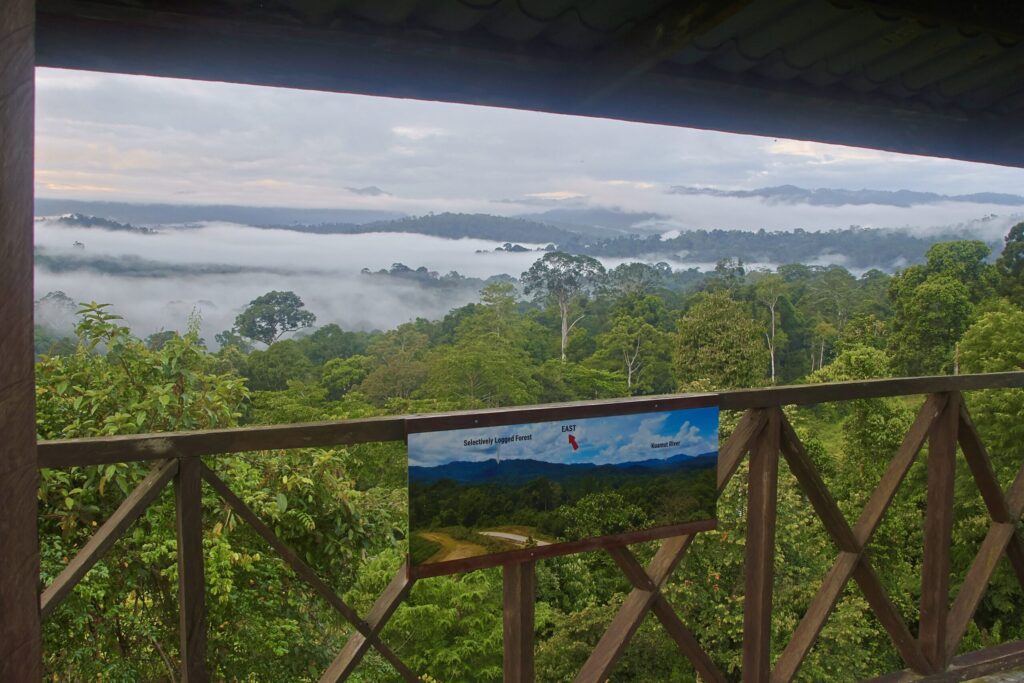 Jungle trekking in Maliau Basin Conservation Area